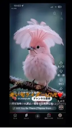 老い旬ライダー