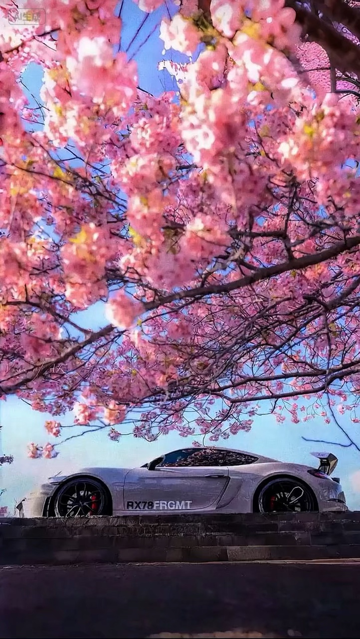 wallpaper 3d