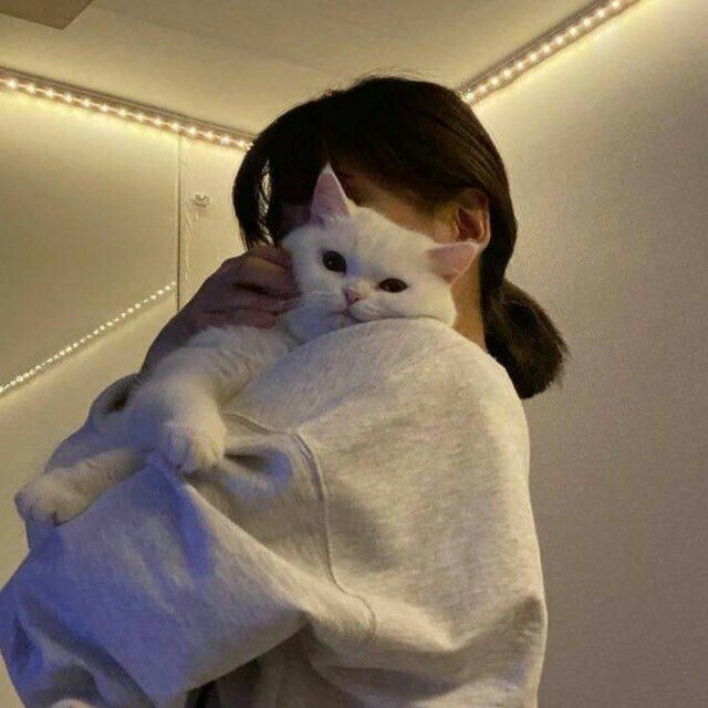 cat loverr