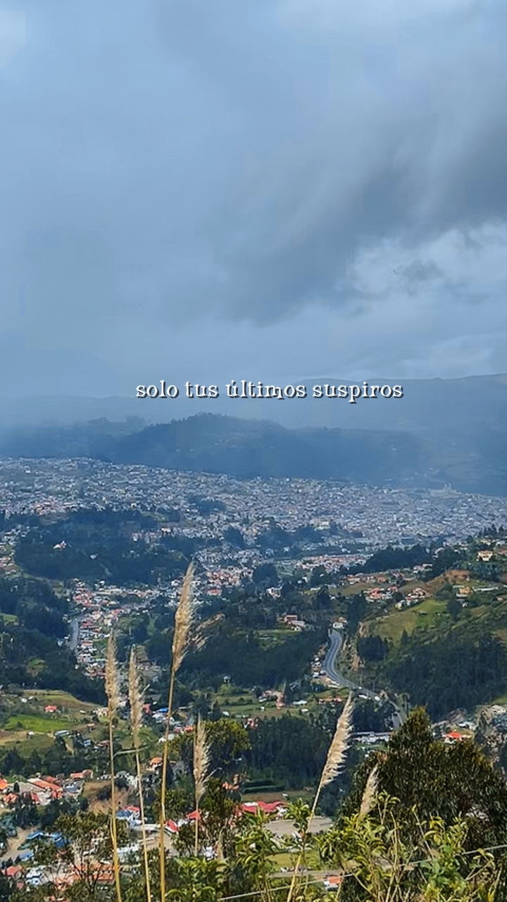 Reflexión / la vida