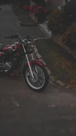 2 video 2 foto