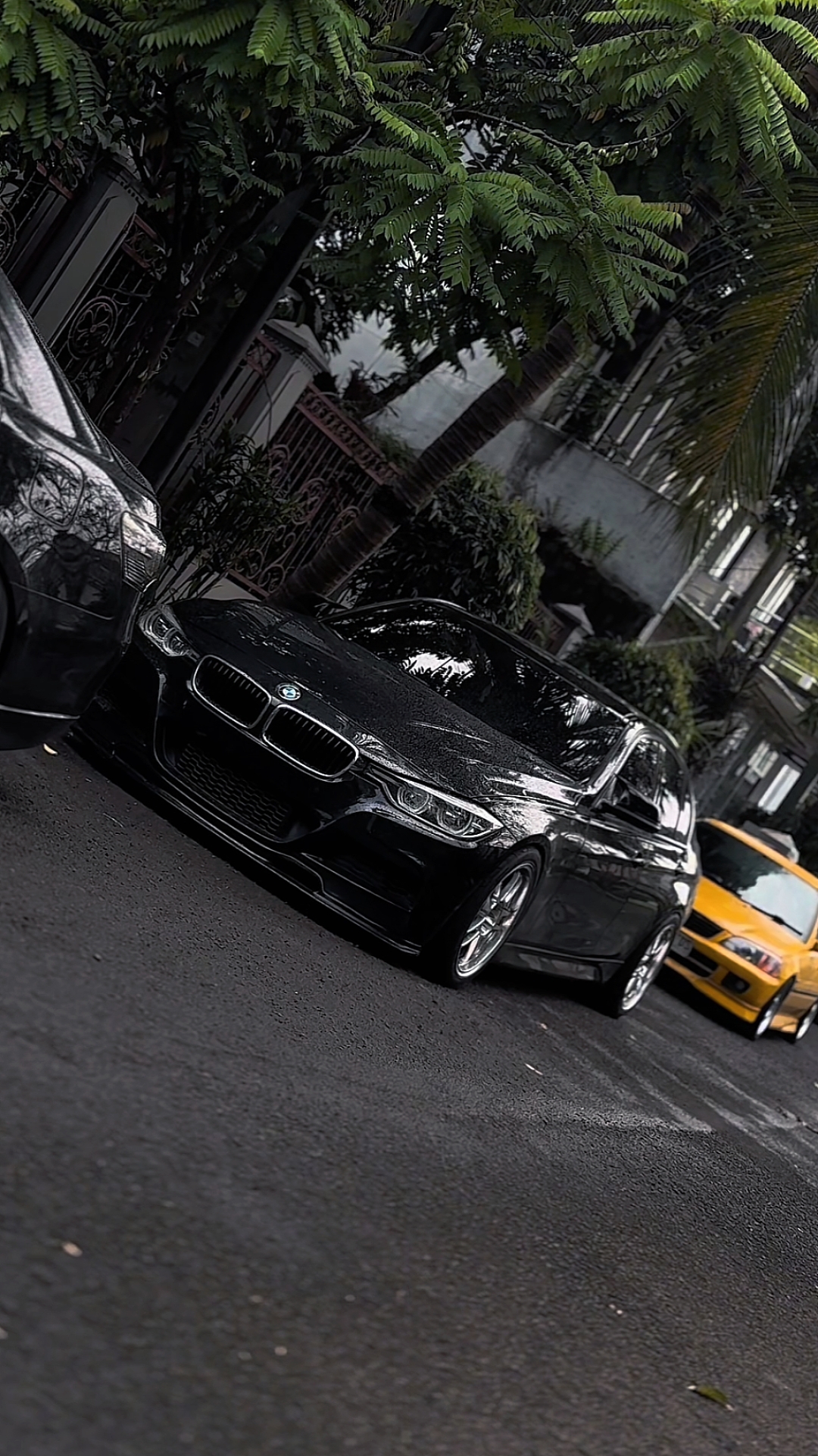 Cars Cinematic Hd 