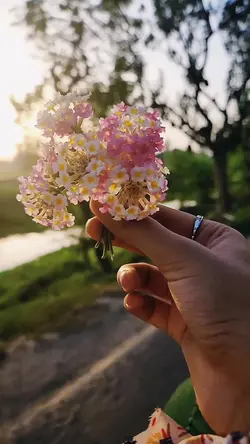 Scocok buat kmu yang