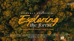 Exploring Cinema