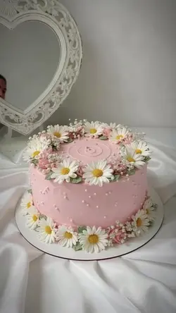 Aesthetic Cake Showcase