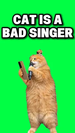 CAT IS A BAD SINGER