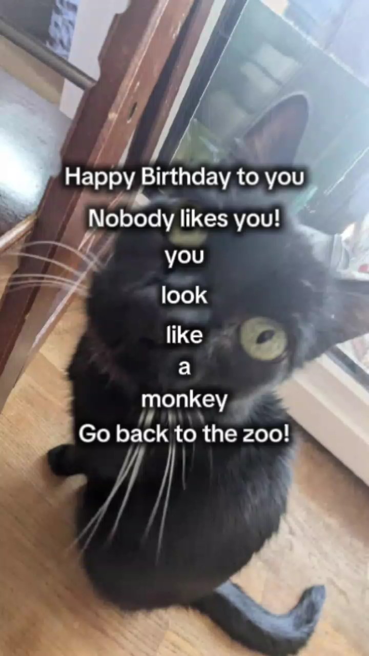Feliz Aniversário 