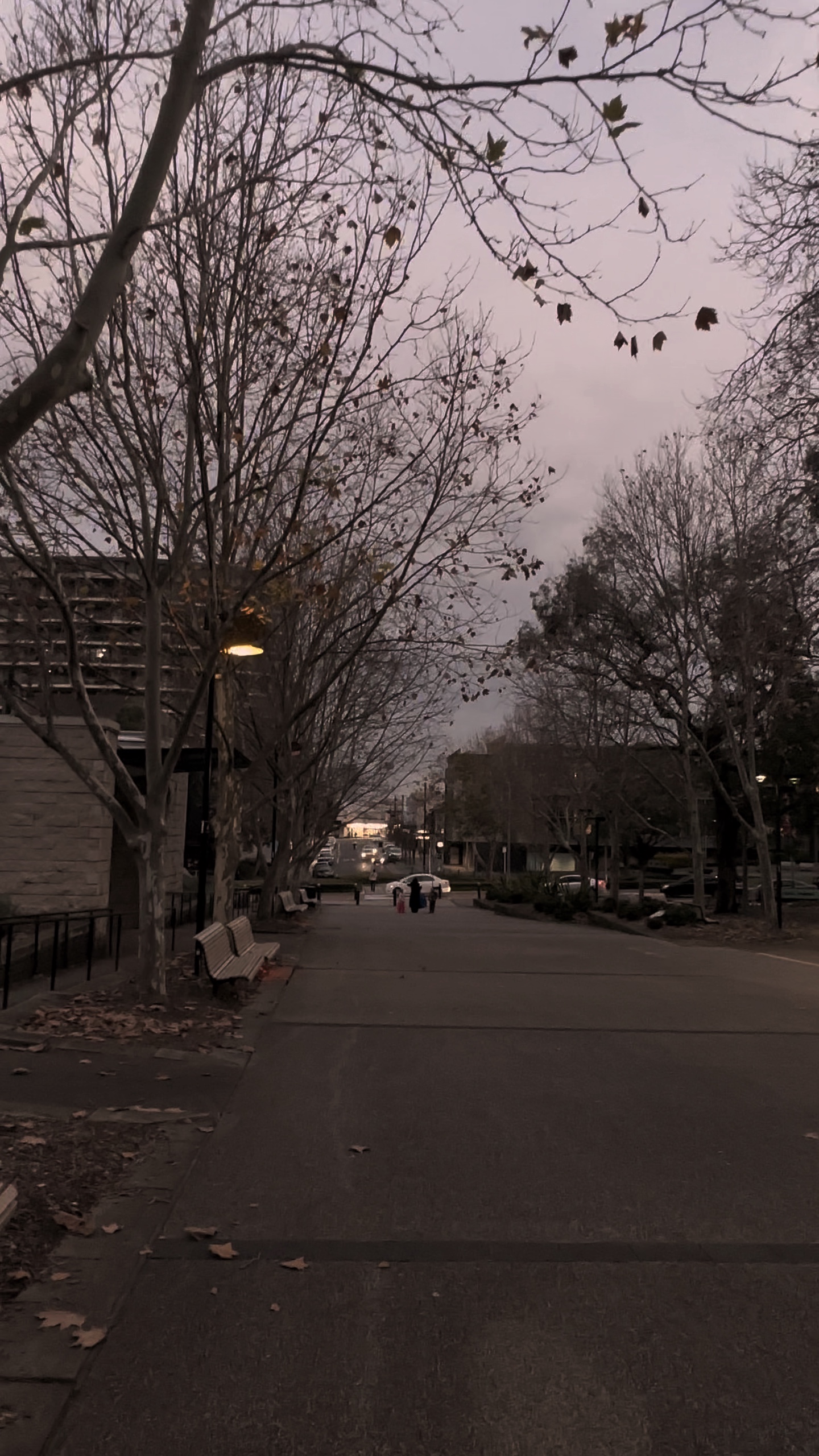 Invierno por la noche 
