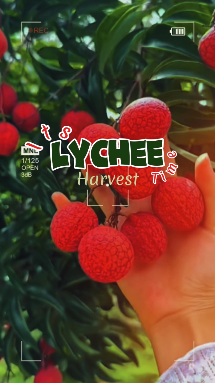 Fruit garden harvest