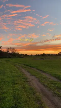 aesthetic