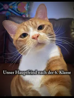 Unser Hauptfeind nac