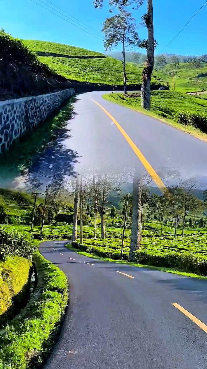 2 video collage hd 