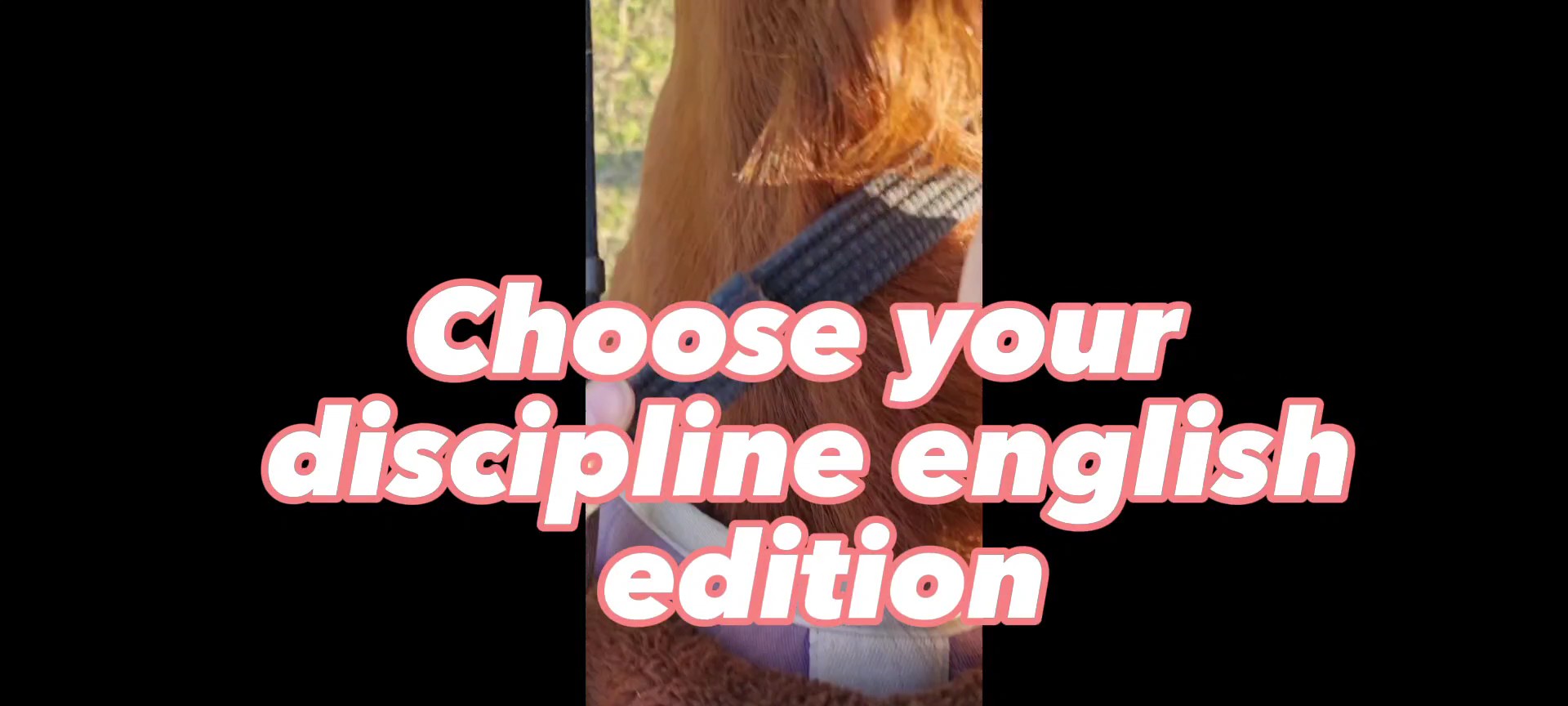 Choose ur Discipline