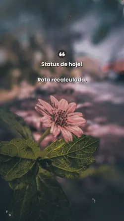 ROTA RECALCULADA!
