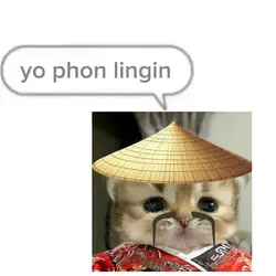 Chinese ringtone