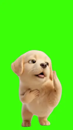 Dog/Cachorro.