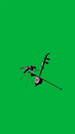 Mosquito 