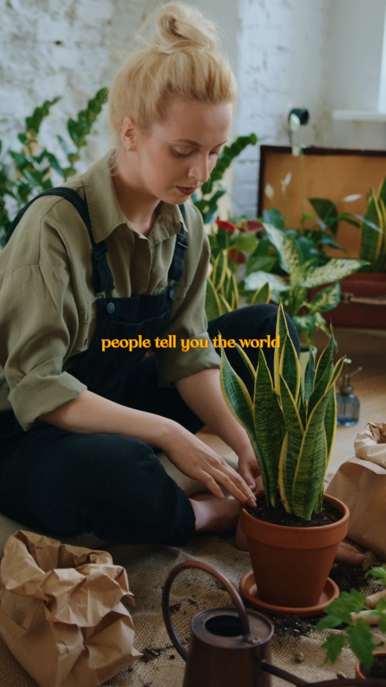 motivation quotes
