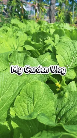 Garden Vlog