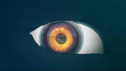 The Eye intro ⁴