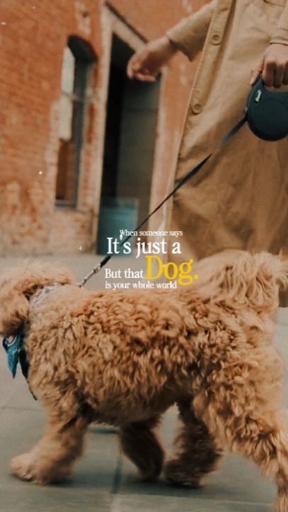 Es ist nur ein Hund