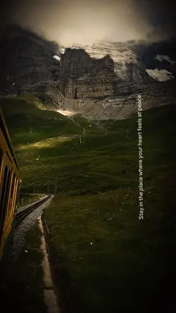 Nature Therapy❤️