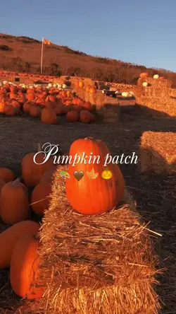 Pumpkin patch vlog