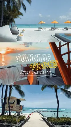 Summer Vibes 