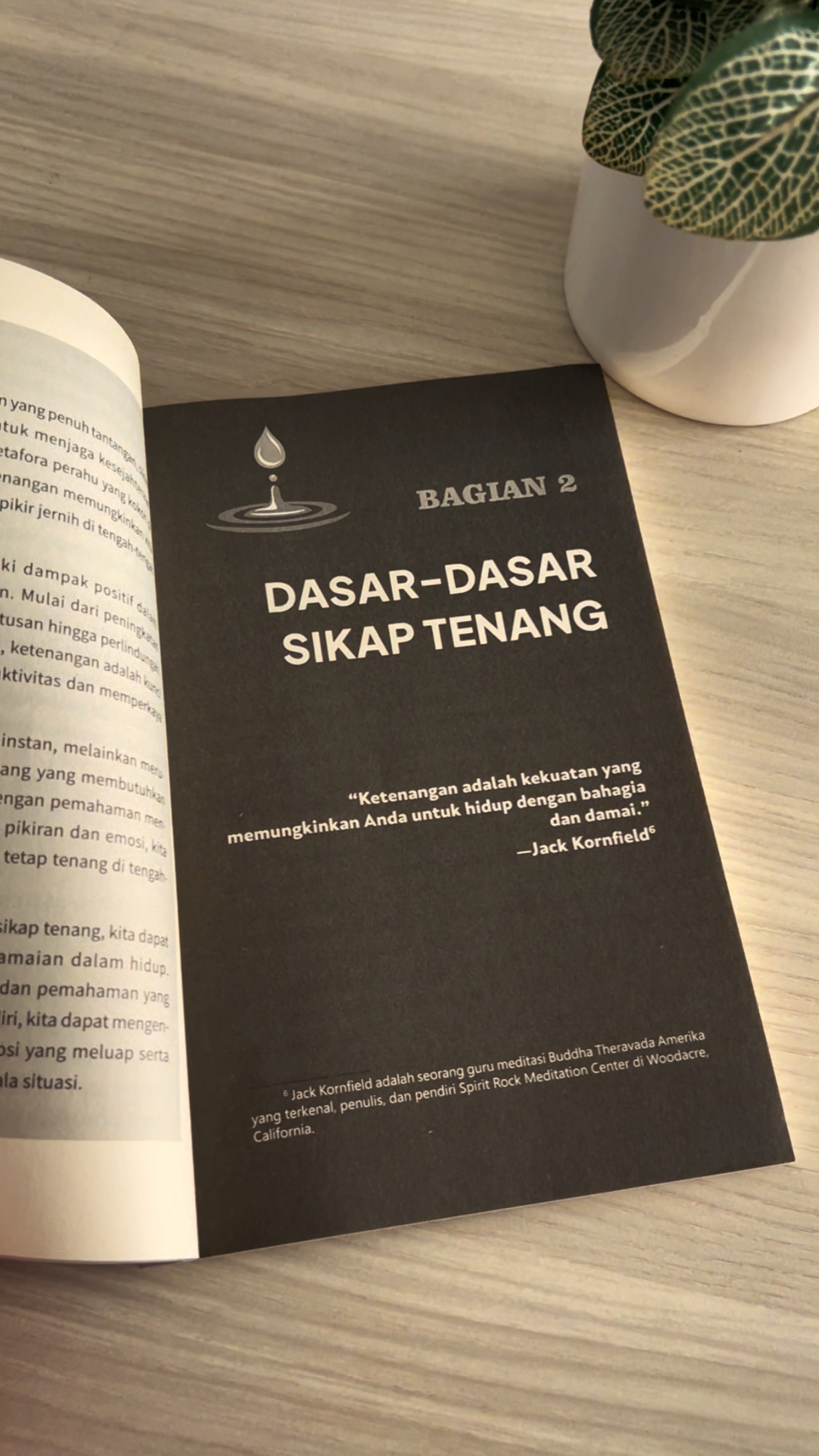 Kitap İncelemesi