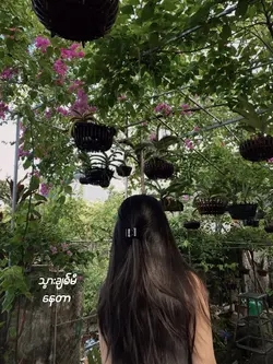 မကြင်နာသူသို့