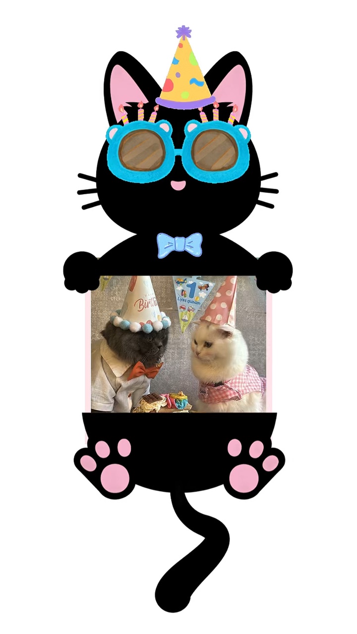 Happy birthday cat