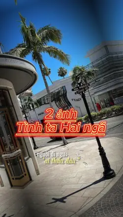 Tình ta hai ngã