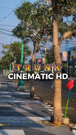TRUNK cinematic