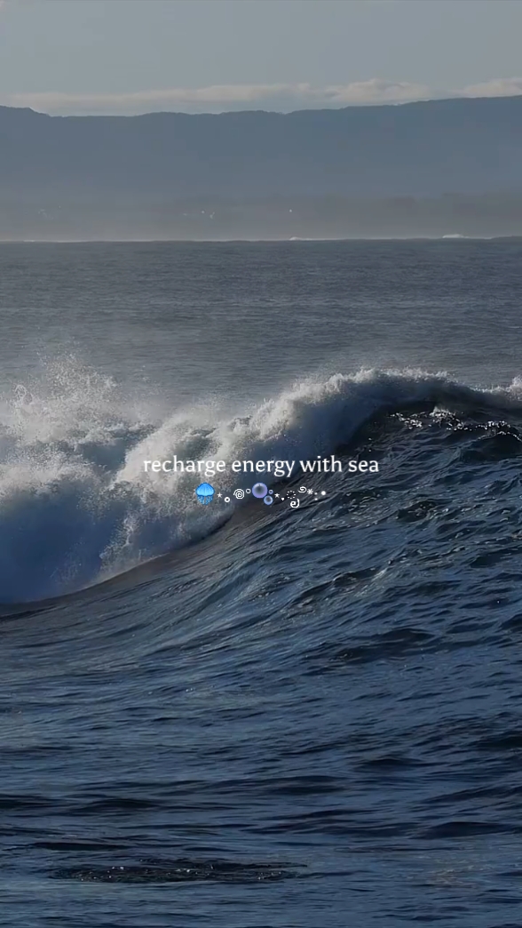 recharge sea