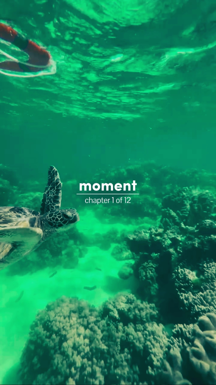 Momento capítulo 1 