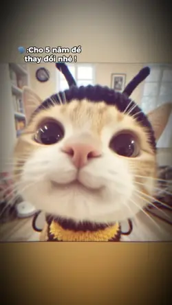 TREND TRƯỞNG THÀNH