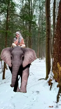 Naik Gajah