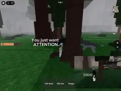 Attention