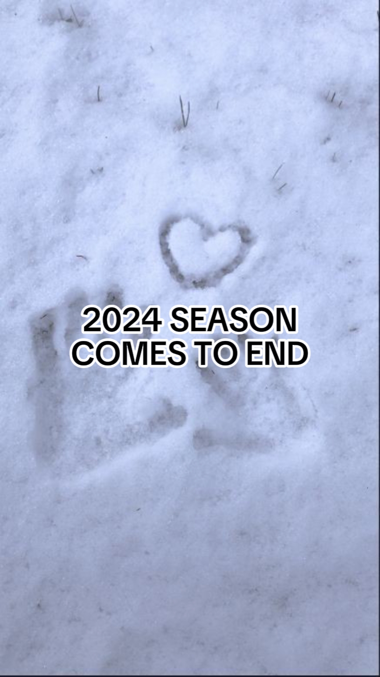 2024 MOMENT