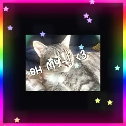 My cat! <3