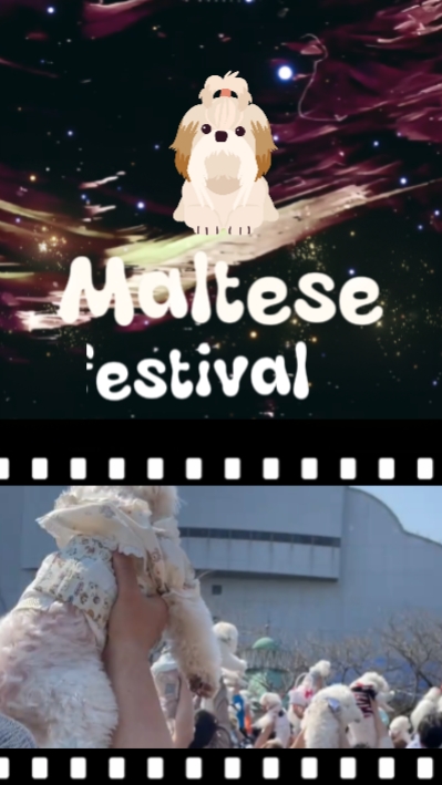 Festival de mascotas 