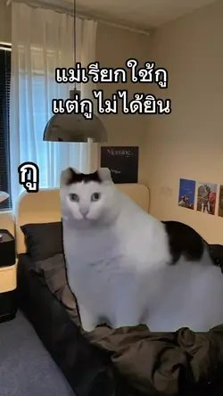 ห๊ะ ใช้ไร