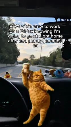 Friday vibes