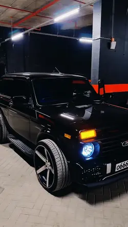 CAR INSANE