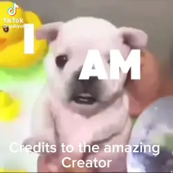 I am Pibble