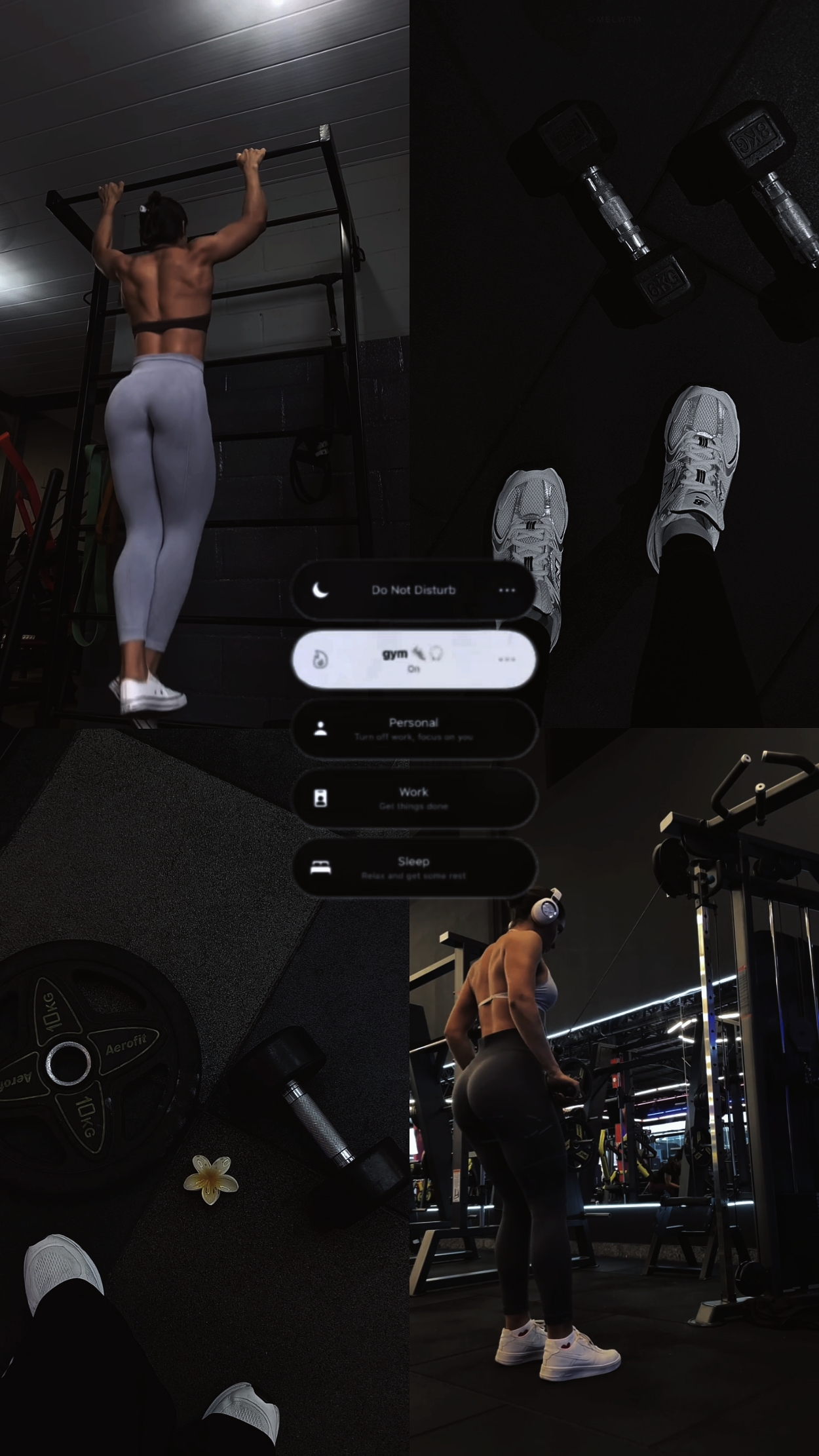 Historia de gimnasio