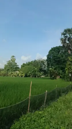Terima kasih Tuhan