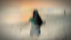 Landscape videos 