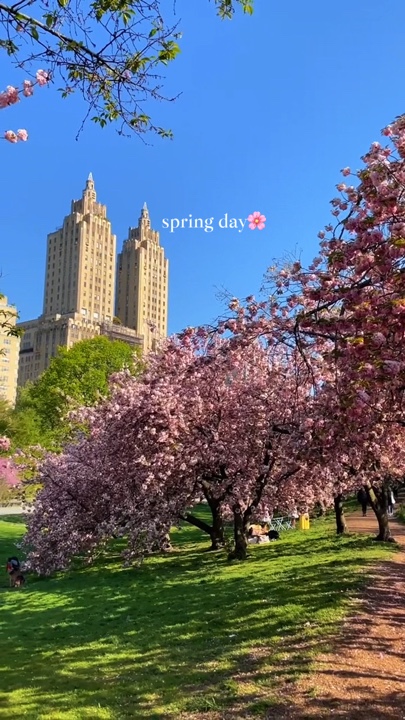 Frühlingstag🌸