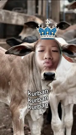 meme idul Adha